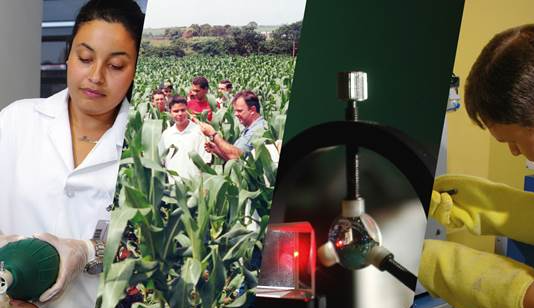 Etecs e Fatecs divulgam o calendário dos processos seletivos para 2021