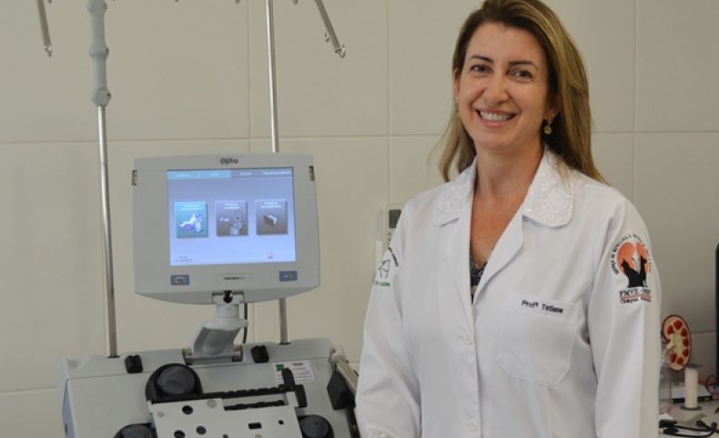 FMVZ/Unesp Botucatu realiza terapia inovadora em pequenos animais