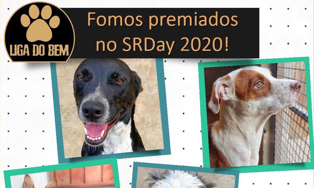 Liga do Bem Botucatu ganha prêmio pela promoção da causa animal
