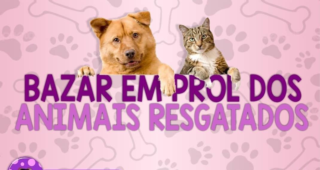 Bazar em Botucatu vai arrecadar fundos para animais resgatados em dezembro