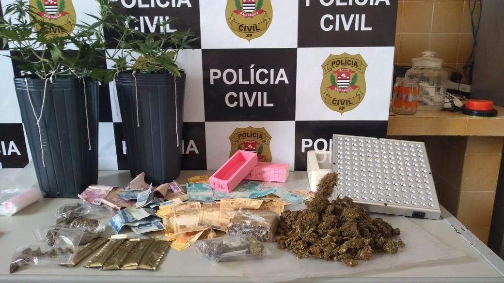 DISE flagra plantação de maconha em apartamento de jovem de 19 anos na região do Lavapés