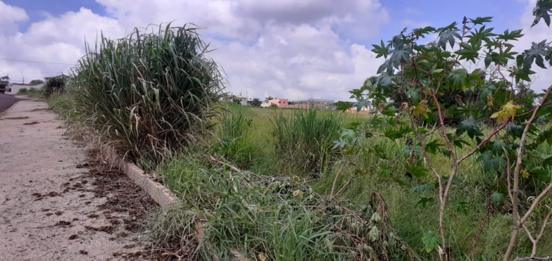 Multa para terrenos sujos em São Manuel começam a ser aplicadas hoje
