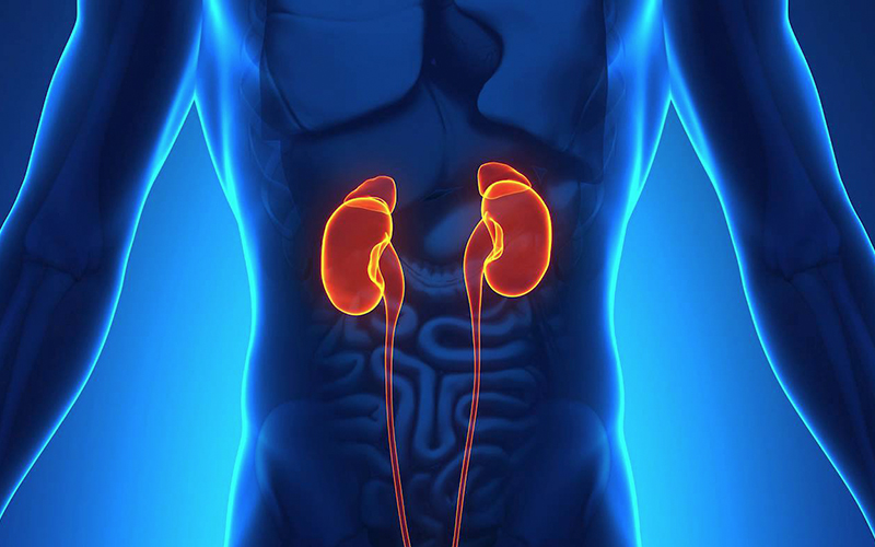 HC de Botucatu participa de campanha do Dia Mundial do Rim