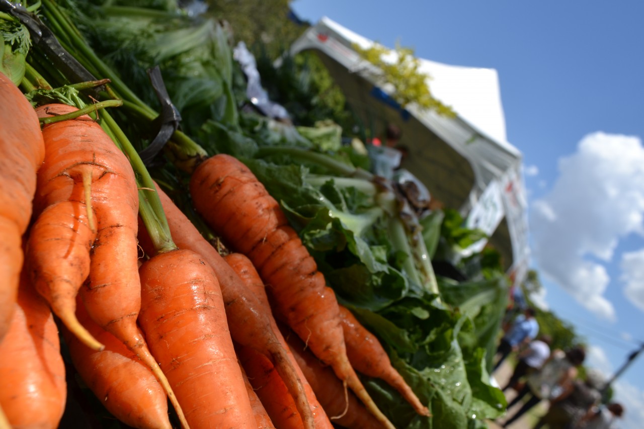 ‘É Dia de Feira’ no Campus da Unesp em Botucatu está de volta