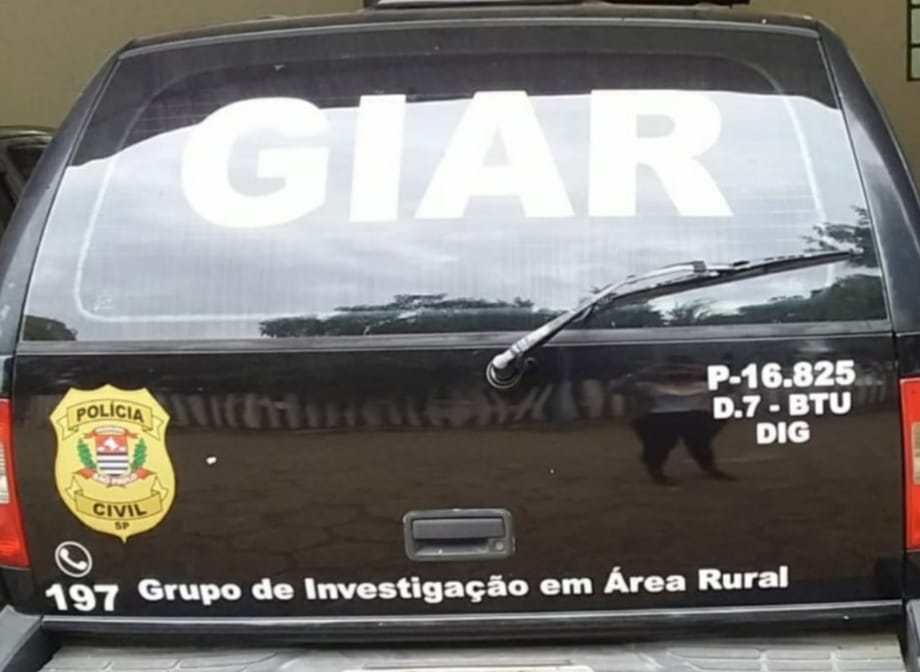 Polícia Civil esclarece furto de gado na região de Botucatu