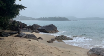 Ataque de tubarão a turista francês em Ubatuba é caso isolado, diz Instituto Argonauta