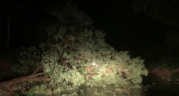 Forte chuva causa estragos em Vitoriana