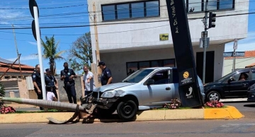 Após batida, carro danifica totem e derruba palmeira na Vital Brasil