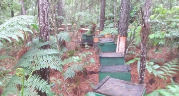 Forças de Segurança de Itatinga executam ações contra invasão de propriedades rurais e furto de melgueiras