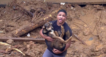Temporal em Petrópolis (RJ) deixa 36 mortos; bombeiros ainda não sabem quantos são os desaparecidos