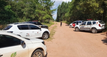 Operação “Parasita” identifica e autua apiários ilegais em Itatinga