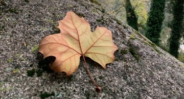 Outono terá menos chuva e mais frio em 2022, indica previsão