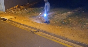 Coruja “alerta” sobre presença de cascavéis no Jardim Paraíso