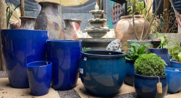 Confira o super festival de vasos da DOM em Botucatu