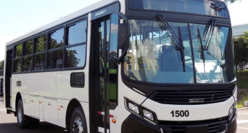 Chegada de novo lote de ônibus Caio para Angola, marca a exportação de 450 unidades para o país africano