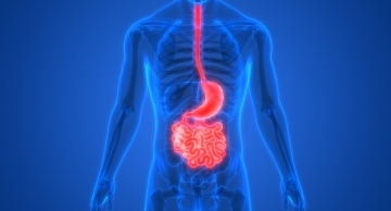 Câncer de esôfago: tudo o que você precisa saber