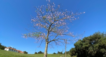 Botucatu segue com tempo seco e ‘sensação de frio’ para os próximos dias