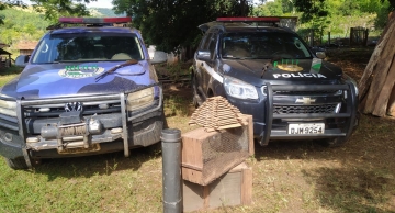 Operação policial apreende armas e munições ilegais na zona rural de Botucatu