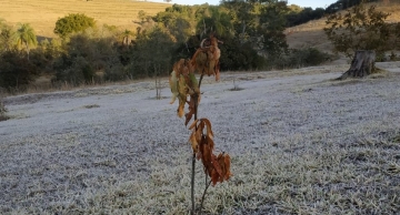 Botucatu continua com previsão de geada para esta semana