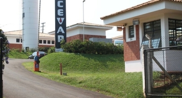 Unesp vai liderar desenvolvimento de biofármacos em SP