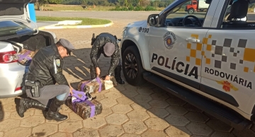 TOR faz apreensão de 166 quilos de maconha na Castelo Branco