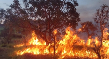 Polícia Militar Ambiental faz operação para combater incêndios que assolam áreas vegetadas Polícia Militar Ambiental faz operação para combater incêndios que assolam áreas vegetadas