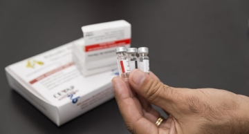 Projeto do Cevap que inova a terapia celular é patenteado pela Unesp