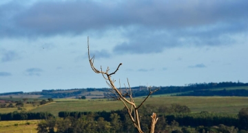 Semana começa com tempo seco e ‘sensação’ de frio em Botucatu
