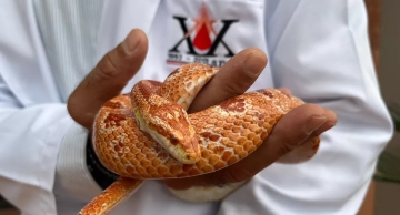 Após 2 anos fechado pela pandemia, Cevap de Botucatu volta a receber visitas