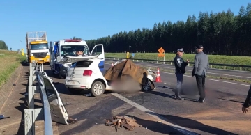 Quatro pessoas morrem após carro da Secretaria de Saúde de Manduri bater em caminhão
