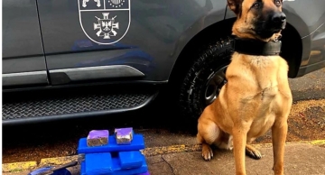 Cão da PM acha grande quantidade de maconha no Jardim Peabiru em Botucatu