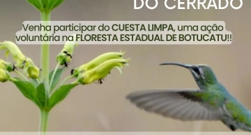 6ª edição do Cuesta Limpa acontecerá no domingo, 11, na Floresta Estadual de Botucatu</strong>