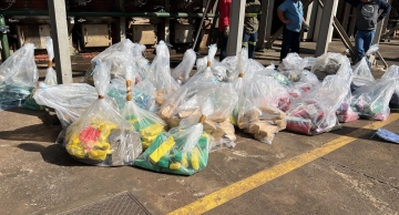 Polícia Civil de Botucatu incinera 770 quilos de maconha