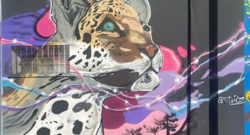 Botucatu ganha a primeira exposição de graffiti a céu aberto