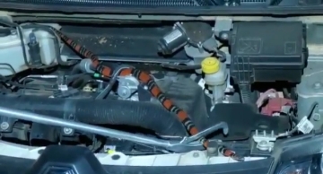 Vigilância Ambiental em Saúde resgata cobra em motor de veículo em Botucatu; veja o vídeo