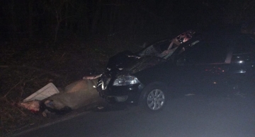 Carro fica destruído após choque contra cavalo solto na Alcides Soares em Botucatu
