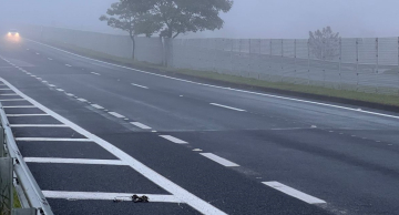 Atenção motorista: neblina prejudica visibilidade nas estradas que cortam Botucatu