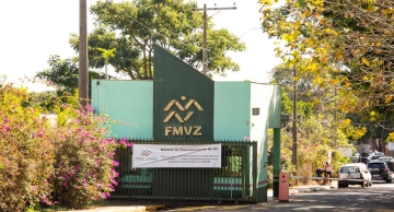 Programas de pós-graduação da Unesp estão em níveis de excelência em avaliação da Capes