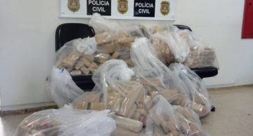 Operação da Polícia Civil incinera 250 quilos de drogas em Botucatu