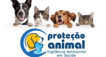 Botucatu passa a ter Departamento de Proteção Animal