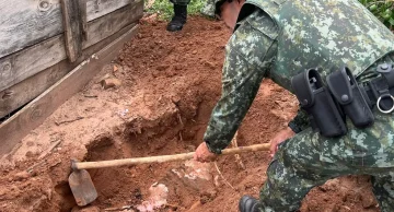 Homem é multado em R$ 10 mil por matar onça-parda com espingarda na região