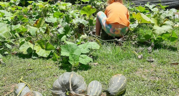 Botucatu terá escola de aprendizagem ativa em meio à natureza
