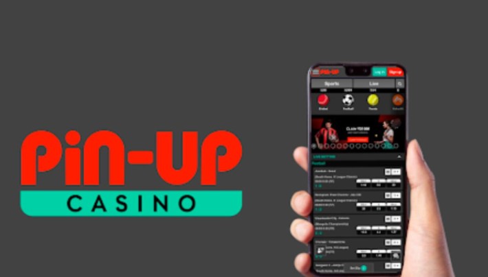 Pin Up Casino no Brasil, Login no Pin-Up Bet