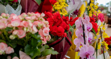 3º Grande Festival de Primavera da Botucatu Garden segue até o dia 24