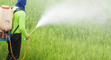 Projeto que altera regulamentação sobre agrotóxicos caminha para apreciação definitiva no Senado