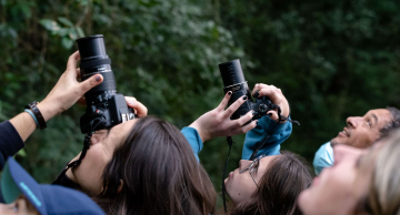 Passarinhada atrai e encanta visitantes na Cuesta de Botucatu