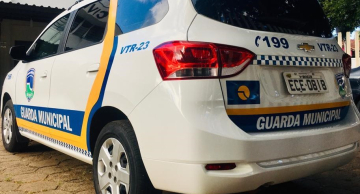 Pitbull é esfaqueado após atacar outro cachorro em Botucatu Pitbull é esfaqueado após atacar outro cachorro em Botucatu