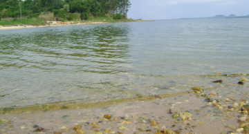 Quatro pessoas da mesma família morrem afogadas no Rio Tietê no interior de SP