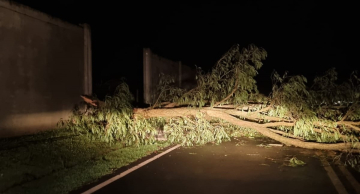 Chuva com granizo e vento causa danos em Pardinho