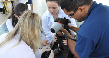 Vigilância Ambiental de Botucatu realizou mais de 155 mil ações em 2022